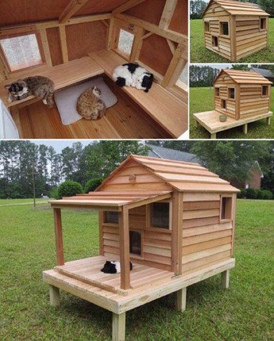 45 top idées de maisons de chat en plein air 26