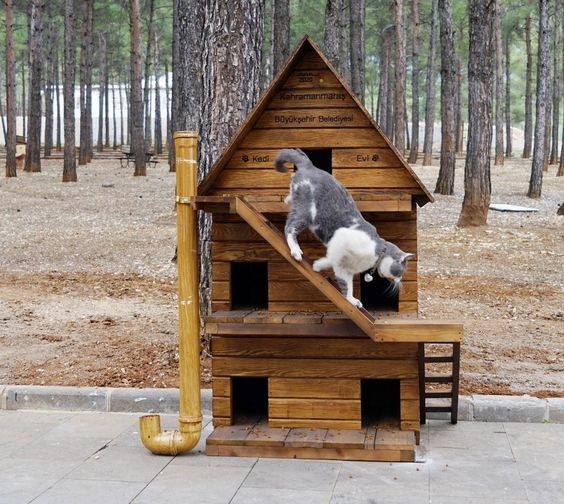 45 top idées de maisons de chat en plein air 27
