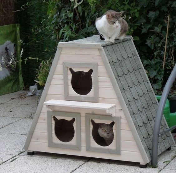 45 top idées de maisons de chat en plein air 30