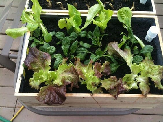 41 top idées de lits de jardin à faire soi-même 2