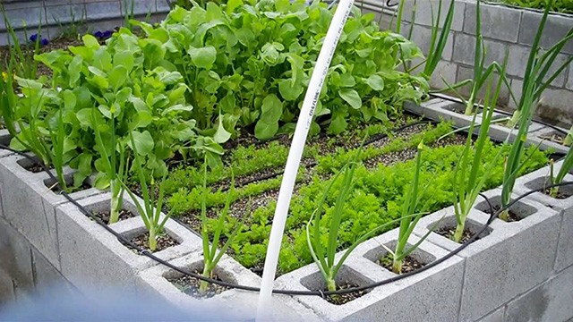 41 top idées de lits de jardin à faire soi-même 6