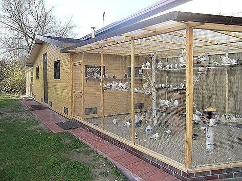 42 mini-poulaillers que vous pouvez construire vous-même 26 42 mini-poulaillers que vous pouvez construire vous-même 26