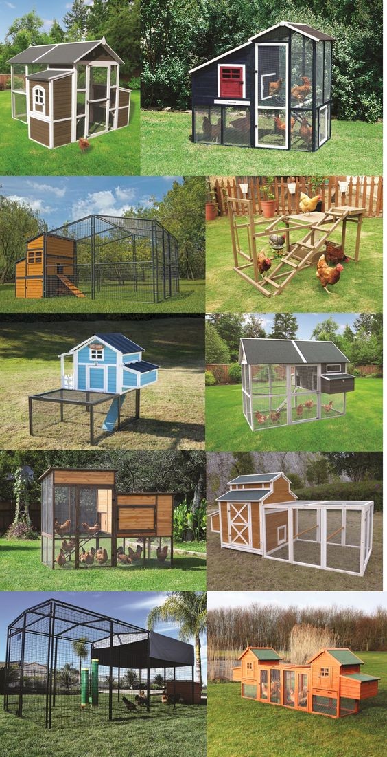 42 mini-poulaillers que vous pouvez construire vous-même 1 42 mini-poulaillers que vous pouvez construire vous-même 1