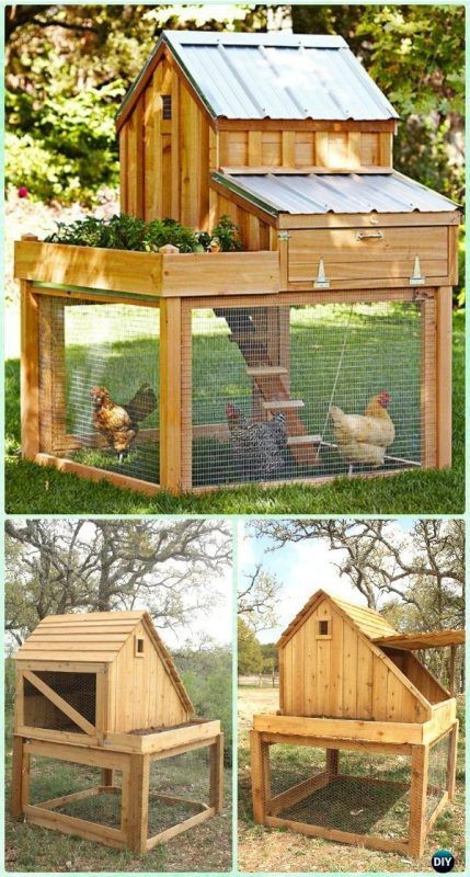 42 mini-poulaillers que vous pouvez construire vous-même 42 42 mini-poulaillers que vous pouvez construire vous-même 42