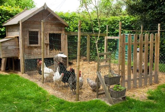 42 mini-poulaillers que vous pouvez construire vous-même 36 42 mini-poulaillers que vous pouvez construire vous-même 36