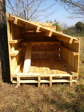 42 mini-poulaillers que vous pouvez construire vous-même 38 42 mini-poulaillers que vous pouvez construire vous-même 38