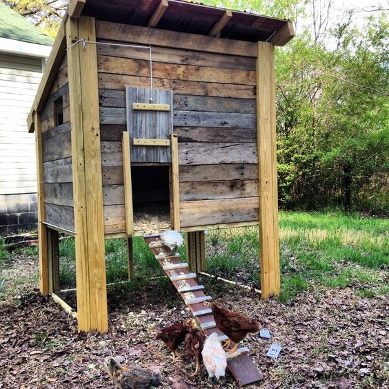 42 mini-poulaillers que vous pouvez construire vous-même 6 42 mini-poulaillers que vous pouvez construire vous-même 6