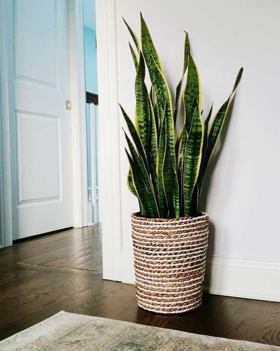 68 idées pour décorer avec des cordes 30 68 idées pour décorer avec des cordes 30