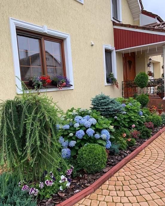 80 irrésistibles idées pour embellir son jardin 11