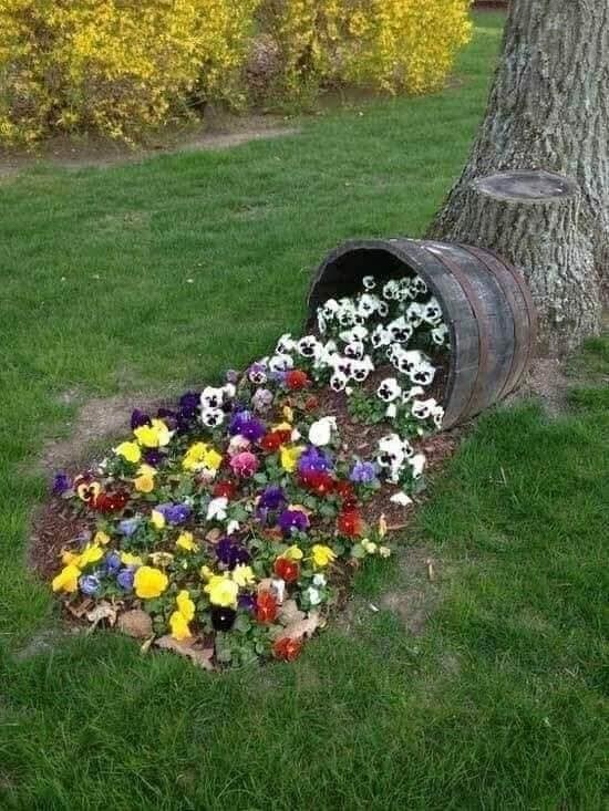 80 irrésistibles idées pour embellir son jardin 60