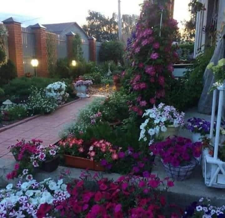 80 irrésistibles idées pour embellir son jardin 70