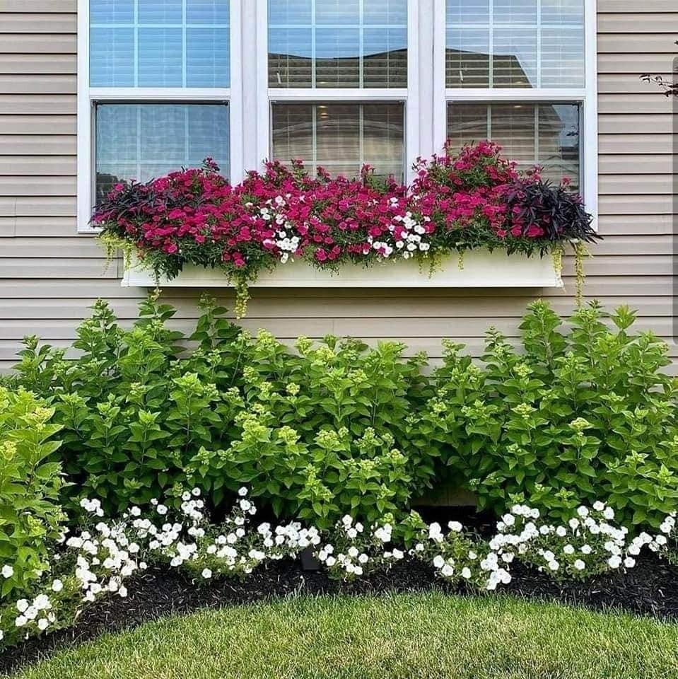 80 irrésistibles idées pour embellir son jardin 76