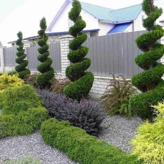 80 irrésistibles idées pour embellir son jardin 10