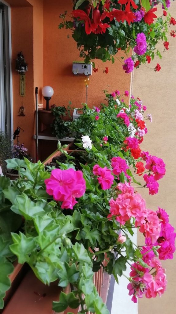 29 top idées de jardinières pour balcon 3 29 top idées de jardinières pour balcon 3