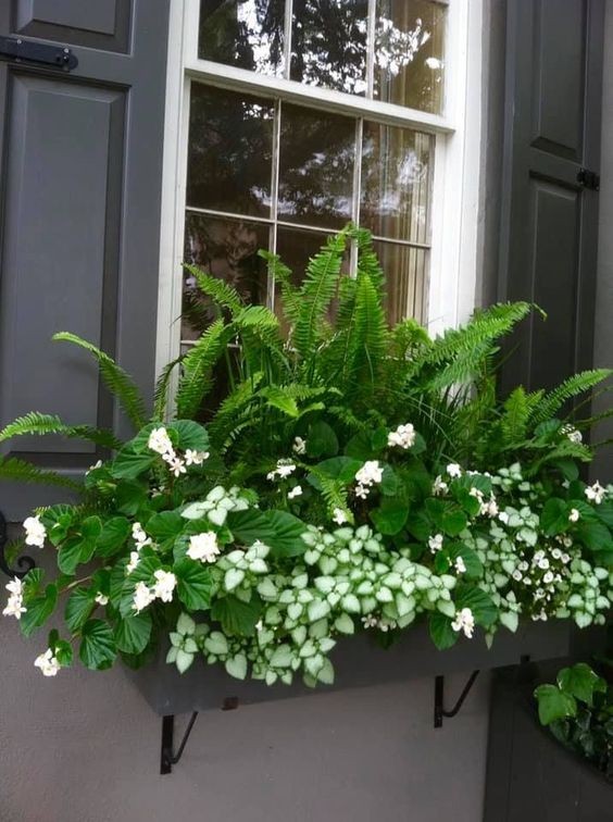 29 top idées de jardinières pour balcon 4 29 top idées de jardinières pour balcon 4