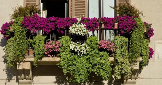 29 top idées de jardinières pour balcon 5 29 top idées de jardinières pour balcon 5
