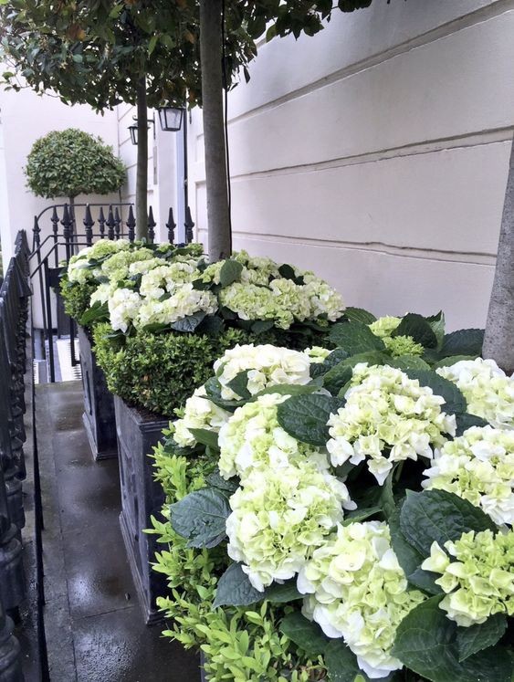 29 top idées de jardinières pour balcon 9 29 top idées de jardinières pour balcon 9