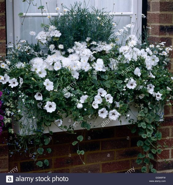 29 top idées de jardinières pour balcon 10 29 top idées de jardinières pour balcon 10