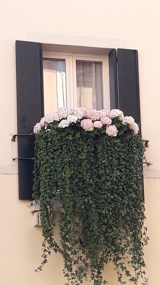 29 top idées de jardinières pour balcon 16 29 top idées de jardinières pour balcon 16