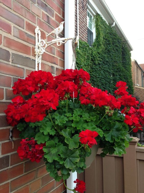 29 top idées de jardinières pour balcon 23 29 top idées de jardinières pour balcon 23