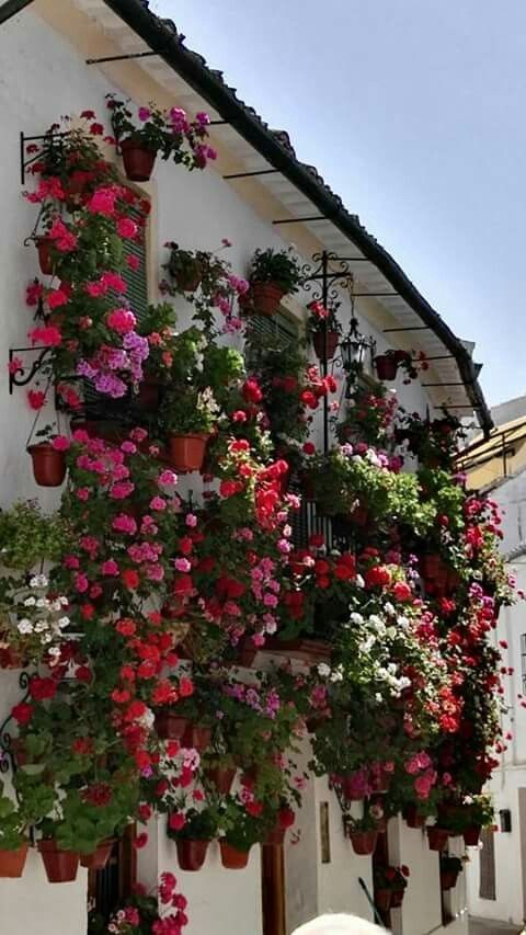 29 top idées de jardinières pour balcon 24 29 top idées de jardinières pour balcon 24