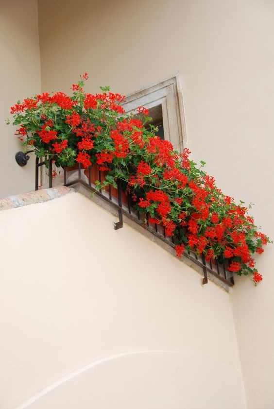 29 top idées de jardinières pour balcon 27 29 top idées de jardinières pour balcon 27