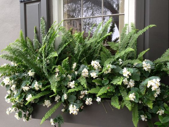 29 top idées de jardinières pour balcon 29 29 top idées de jardinières pour balcon 29
