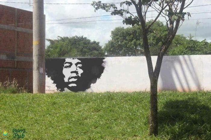 11 idées pour décorer sa palissade avec l'art de rue 7