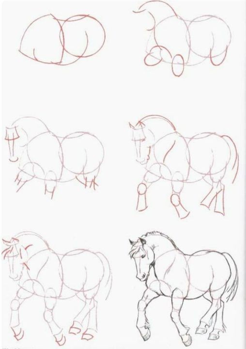 68 top idées pour apprendre à dessiner des animaux 4 68 top idées pour apprendre à dessiner des animaux 4