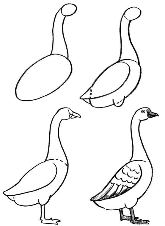 68 top idées pour apprendre à dessiner des animaux 5 68 top idées pour apprendre à dessiner des animaux 5