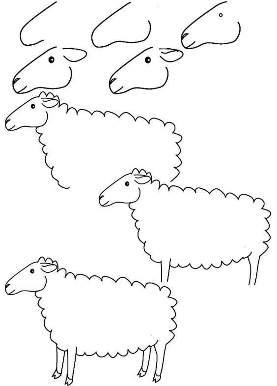 68 top idées pour apprendre à dessiner des animaux 8 68 top idées pour apprendre à dessiner des animaux 8