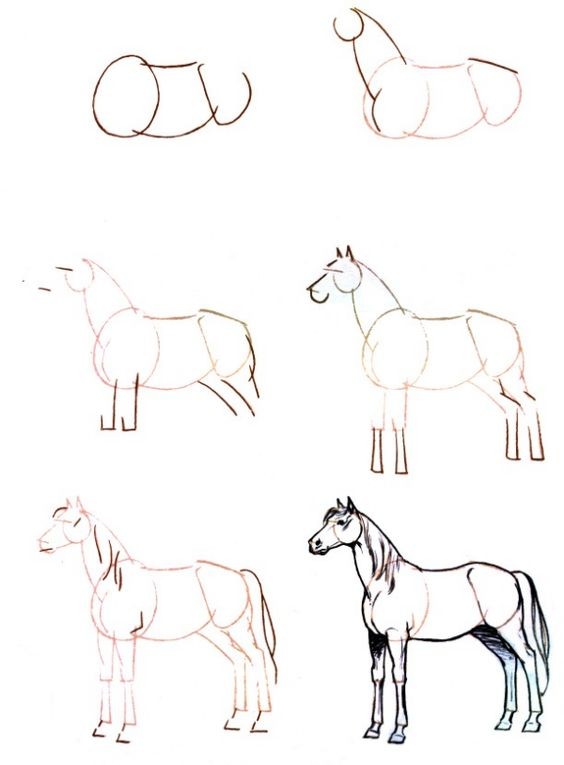 68 top idées pour apprendre à dessiner des animaux 13 68 top idées pour apprendre à dessiner des animaux 13