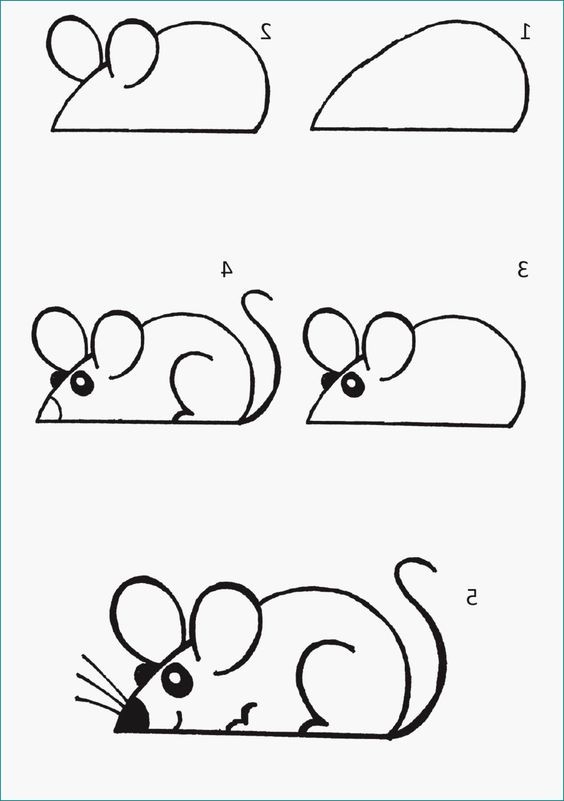 68 top idées pour apprendre à dessiner des animaux 21 68 top idées pour apprendre à dessiner des animaux 21