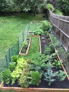 43 idées pour aménager un petit potager 10 43 idées pour aménager un petit potager 10