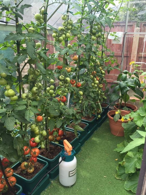43 idées pour aménager un petit potager 11 43 idées pour aménager un petit potager 11