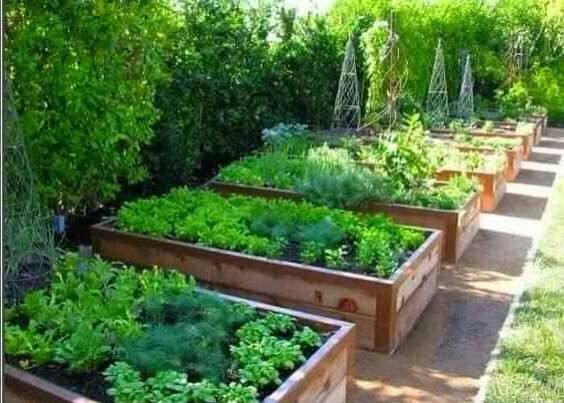 43 idées pour aménager un petit potager 15 43 idées pour aménager un petit potager 15