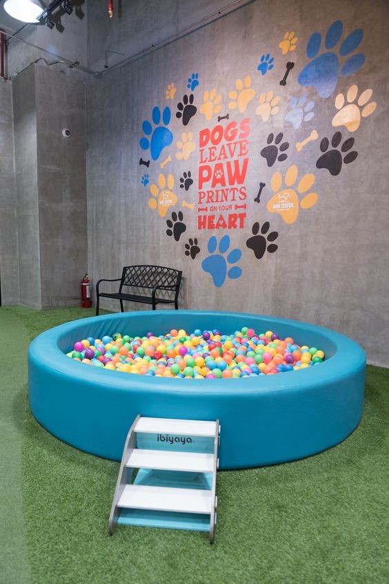 13 Jeux d'extérieur pour chiens à faire soi-même 6