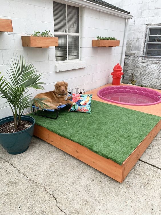 13 Jeux d'extérieur pour chiens à faire soi-même 7