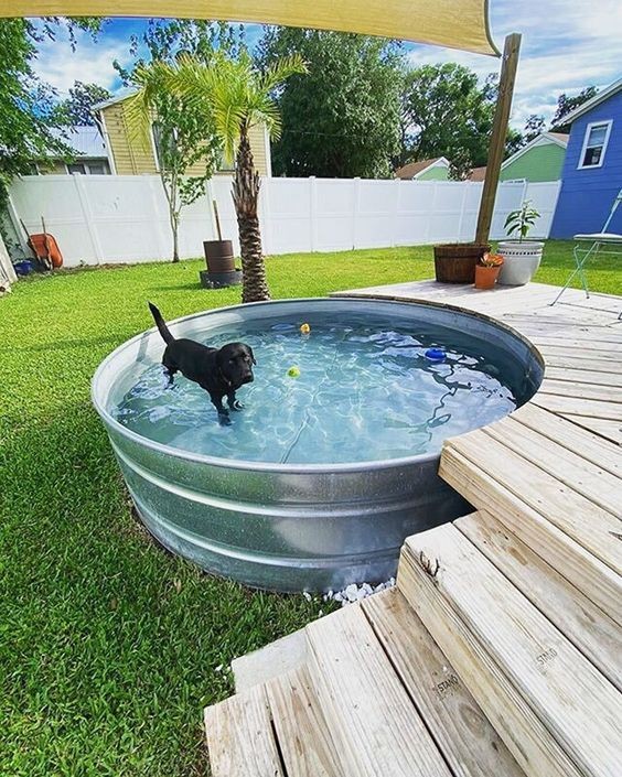 13 Jeux d'extérieur pour chiens à faire soi-même 8