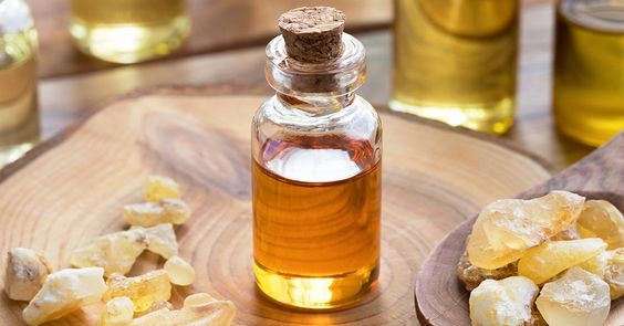 7 astuces pour faire fuir les moustiques de façon naturelle 2 7 astuces pour faire fuir les moustiques de façon naturelle 2
