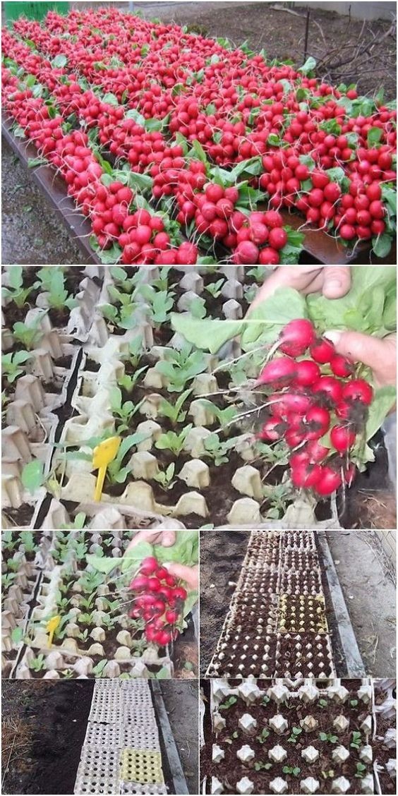 24 idées originales pour mettre du fun dans votre jardin 3 24 idées originales pour mettre du fun dans votre jardin 3