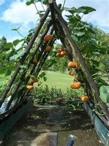 24 idées originales pour mettre du fun dans votre jardin 16 24 idées originales pour mettre du fun dans votre jardin 16
