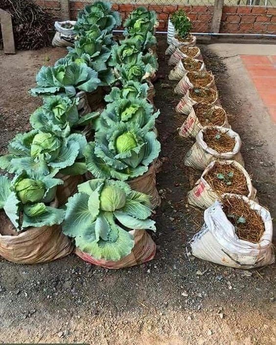 24 idées originales pour mettre du fun dans votre jardin 19 24 idées originales pour mettre du fun dans votre jardin 19