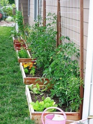 43 idées pour aménager un petit potager 21 43 idées pour aménager un petit potager 21