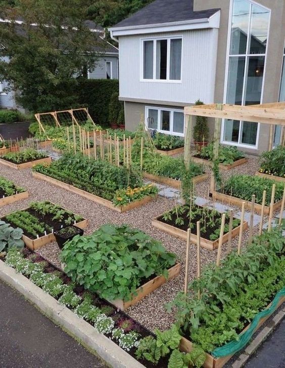 43 idées pour aménager un petit potager 34 43 idées pour aménager un petit potager 34