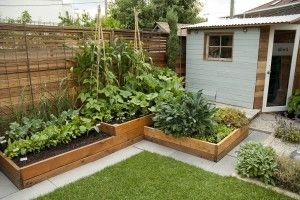 43 idées pour aménager un petit potager 36 43 idées pour aménager un petit potager 36