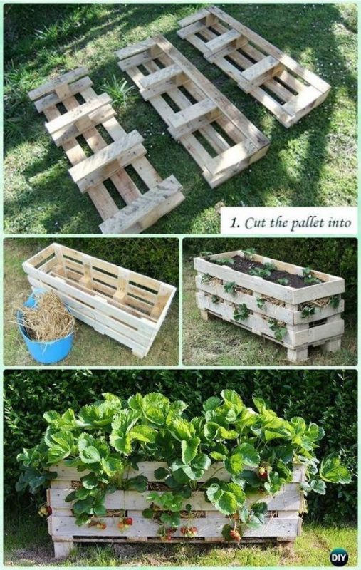 43 idées pour aménager un petit potager 37 43 idées pour aménager un petit potager 37