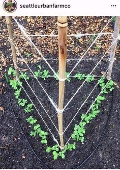 43 idées pour aménager un petit potager 38 43 idées pour aménager un petit potager 38