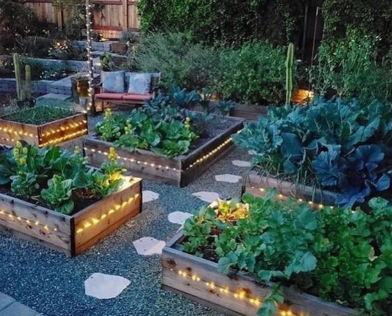 43 idées pour aménager un petit potager 39 43 idées pour aménager un petit potager 39