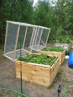 43 idées pour aménager un petit potager 40 43 idées pour aménager un petit potager 40
